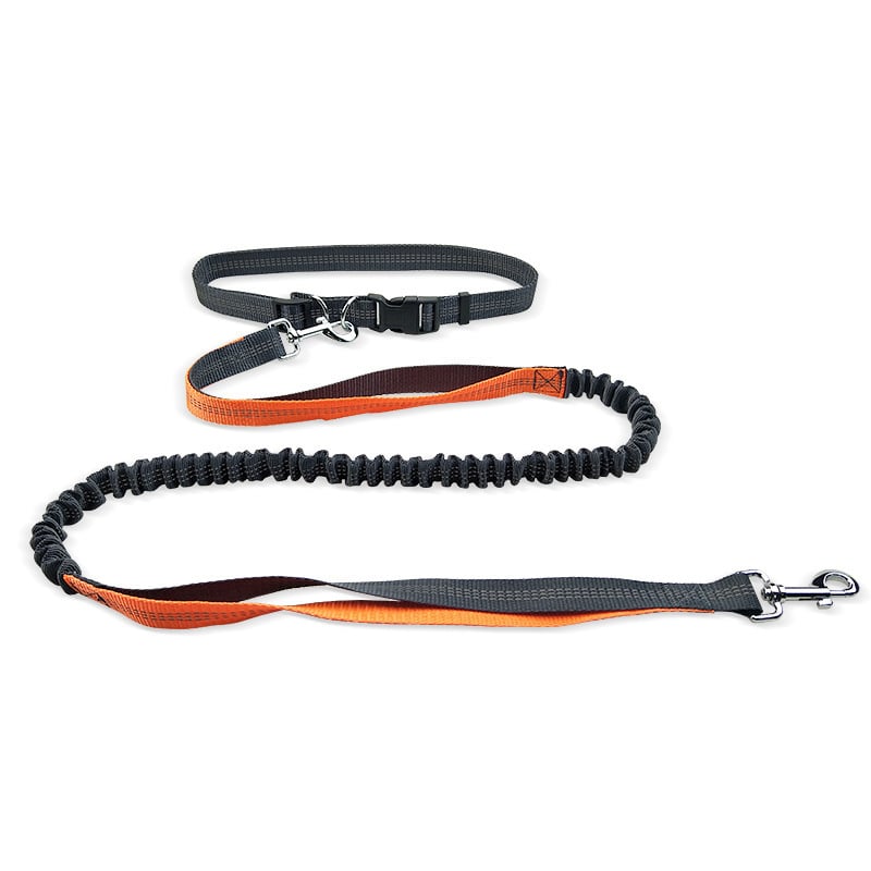 Dog Walking Belt with Detachable Shockproof Leash